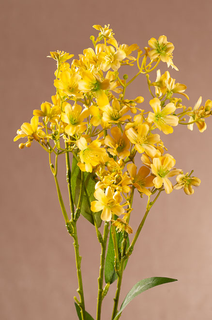 F408-Y Daphne Spray 72 cm žlutá